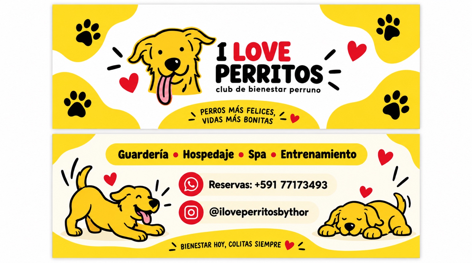 Labrador de Iloveperritos